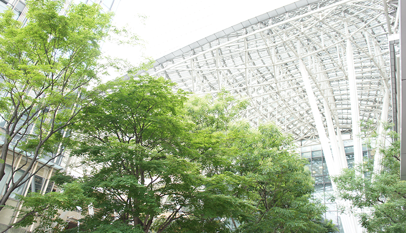 上品十三水辅助 「頑張る、負けない」と語る小島さんいつか「生姜焼き」を提供したい「そばうさ」の味は斬新で普遍的だといつも感心する